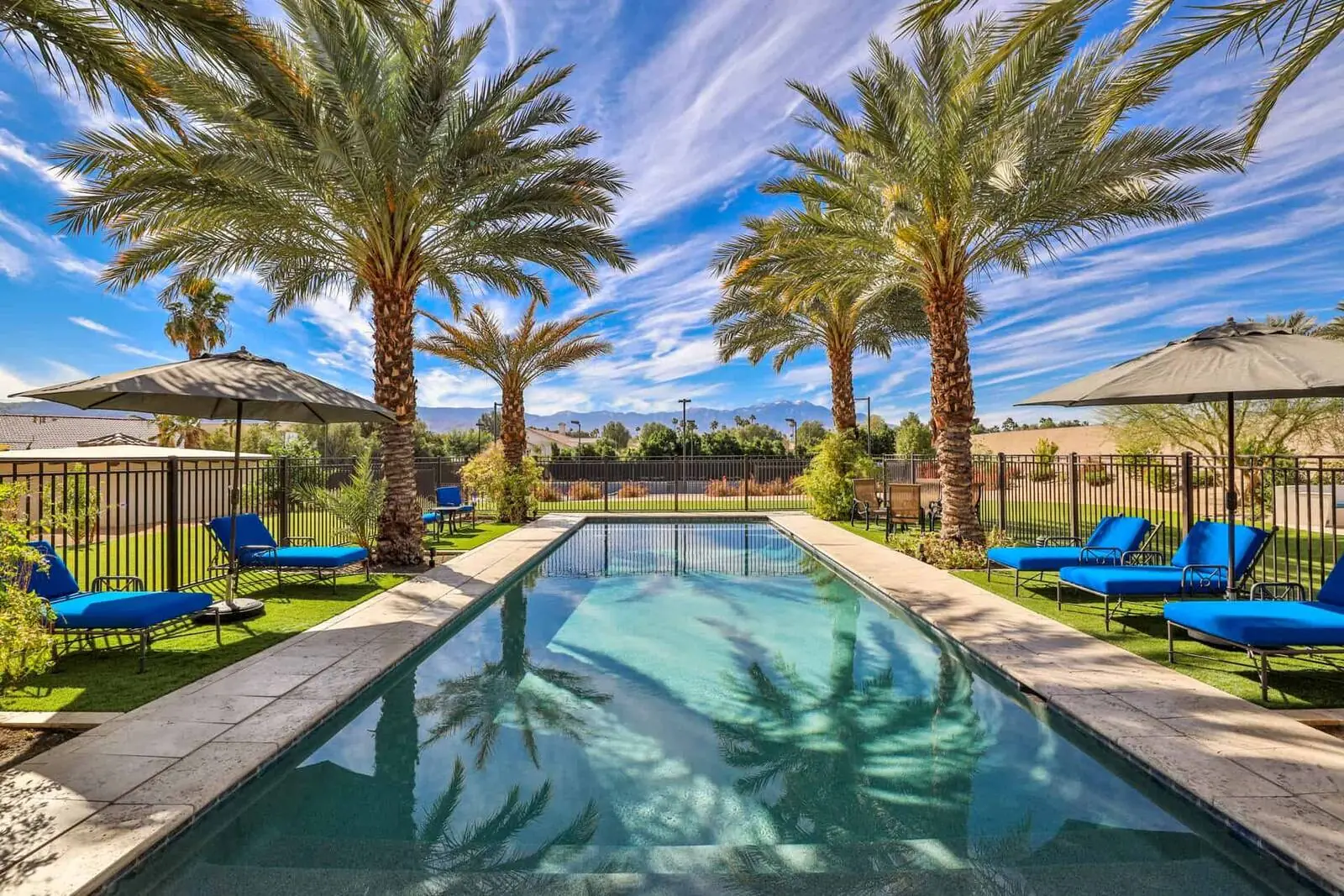 Pool with palm trees