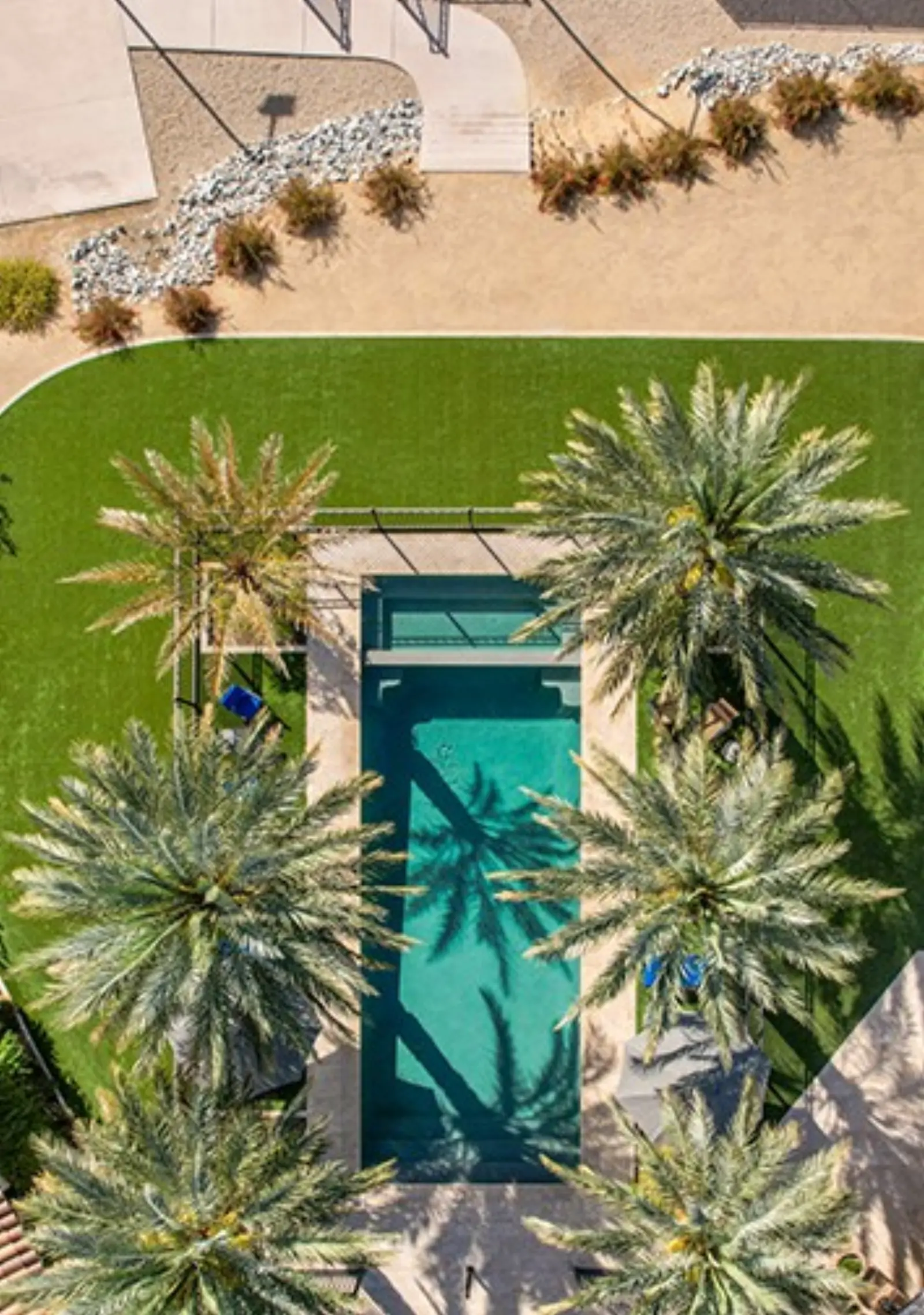 Aerial view of the lap pool framed by palms