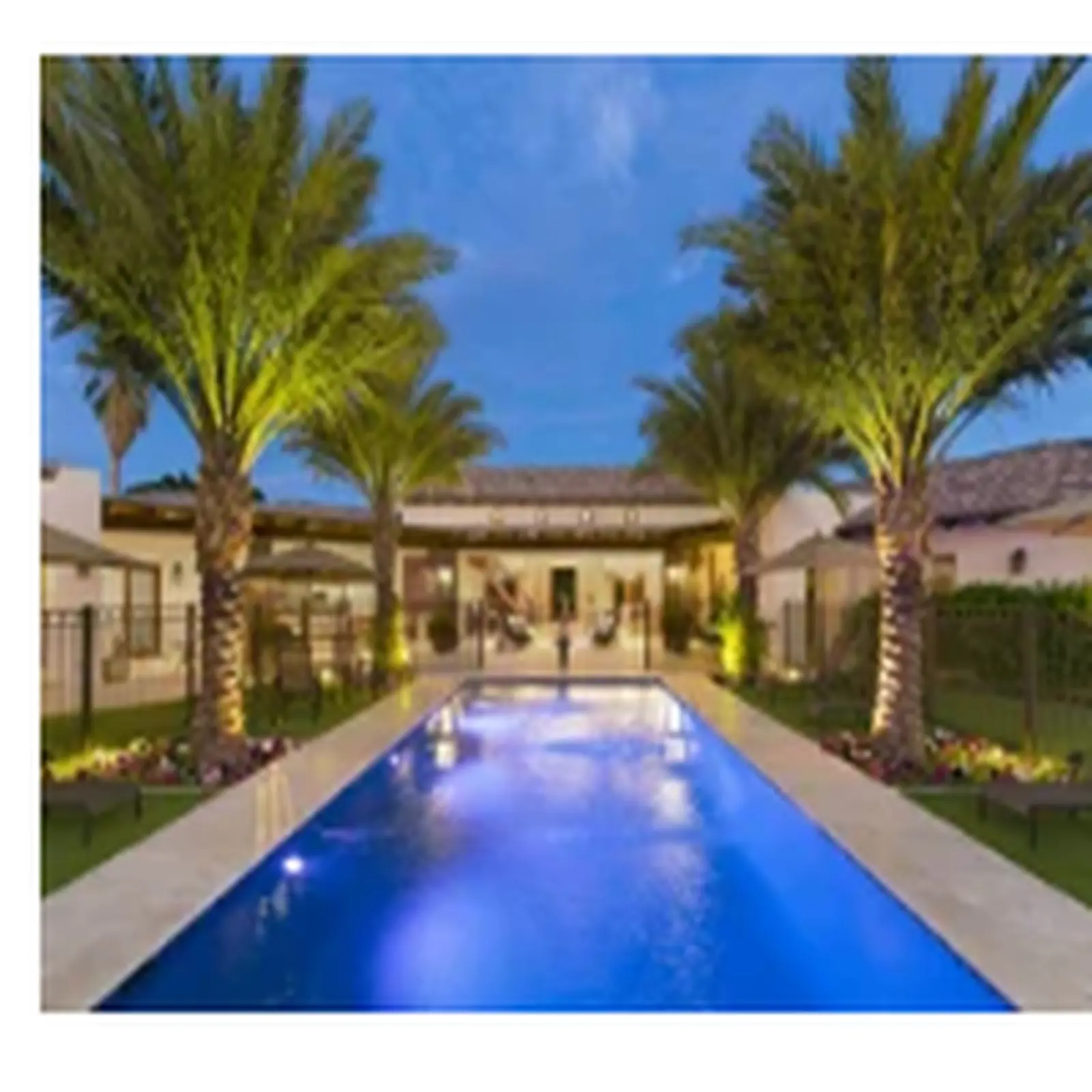 Pool with palm trees at dusk