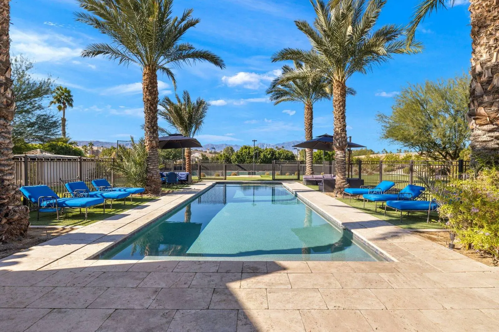 Pool lounge with palm trees